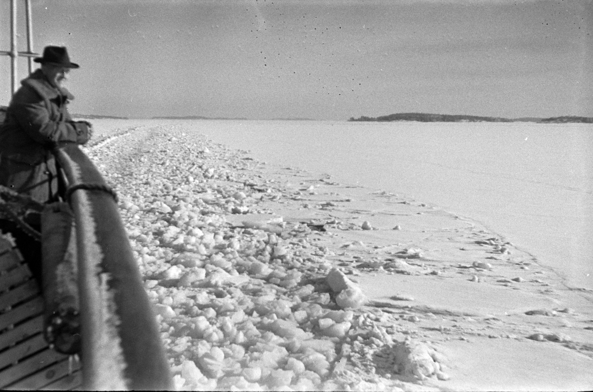 Adolf Skjegstad, ASK-00989