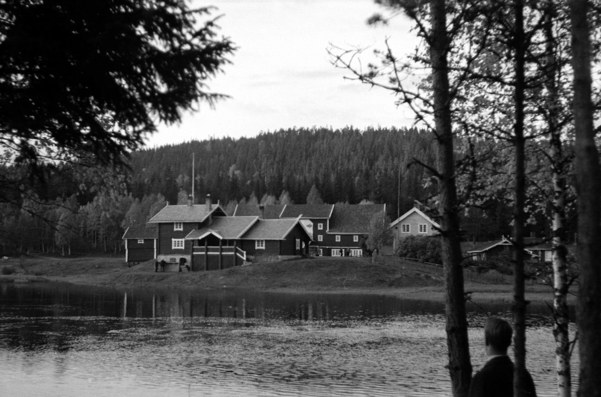 Adolf Skjegstad, MALUNGEN I STANGE.