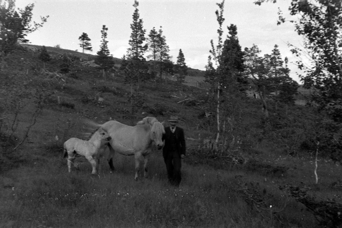 Adolf Skjegstad, ASK-01263
