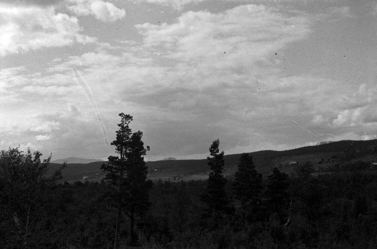 Adolf Skjegstad, ASK-01311