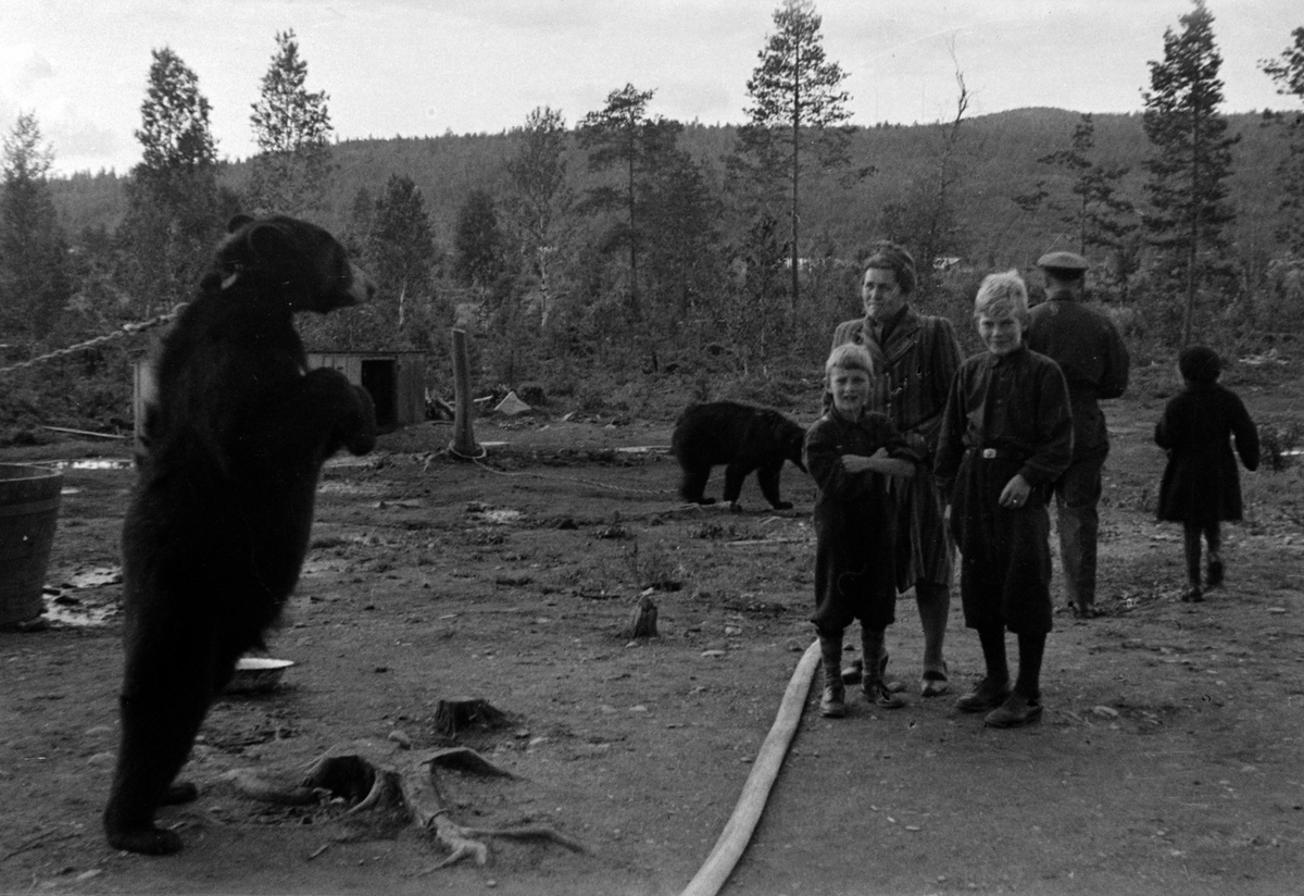 Adolf Skjegstad, ASK-01345
