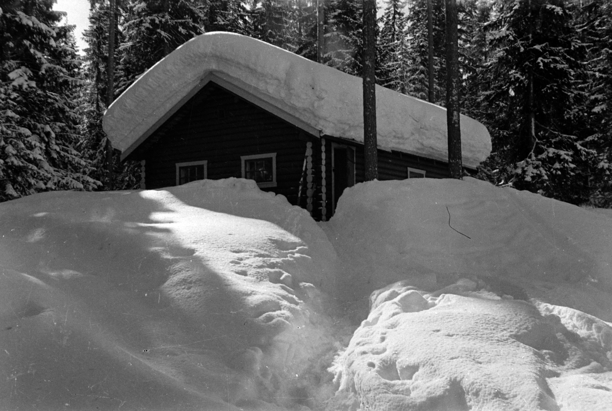 Adolf Skjegstad, ASK-01416