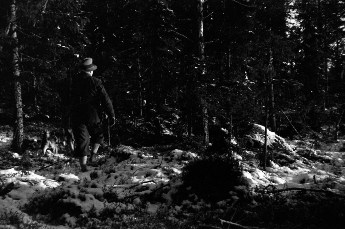 Adolf Skjegstad, ASK-01598