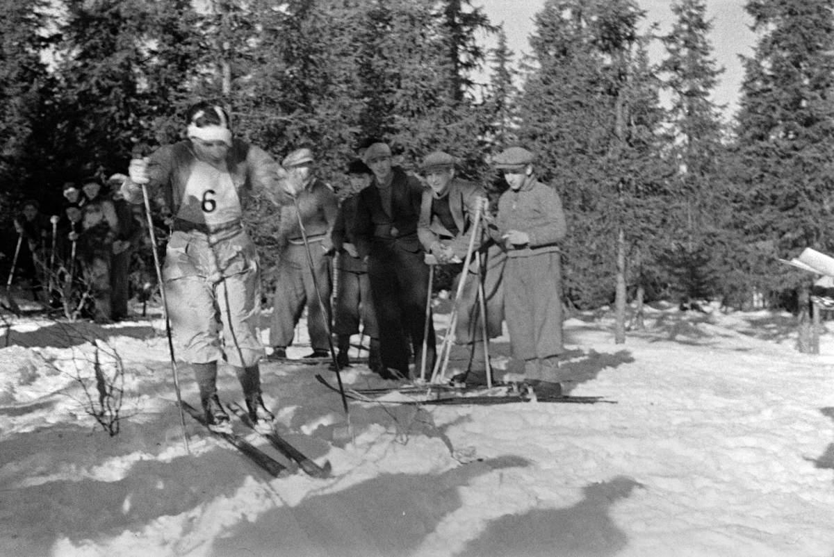 Adolf Skjegstad, SKISPORT, LANGRENNSLØPER.