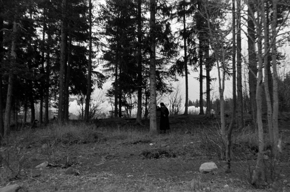 Adolf Skjegstad, ASK-01723