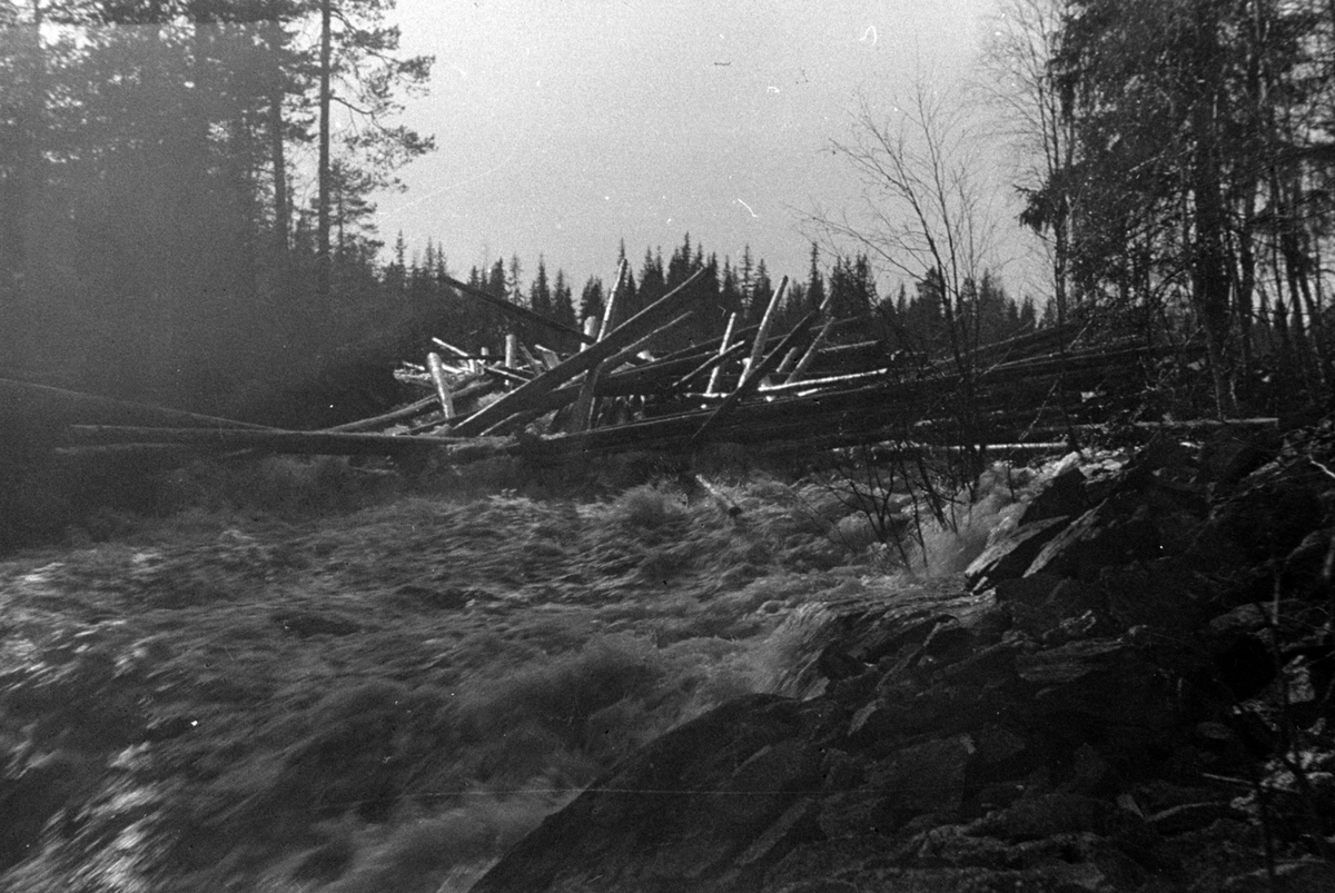 Adolf Skjegstad, ASK-02046