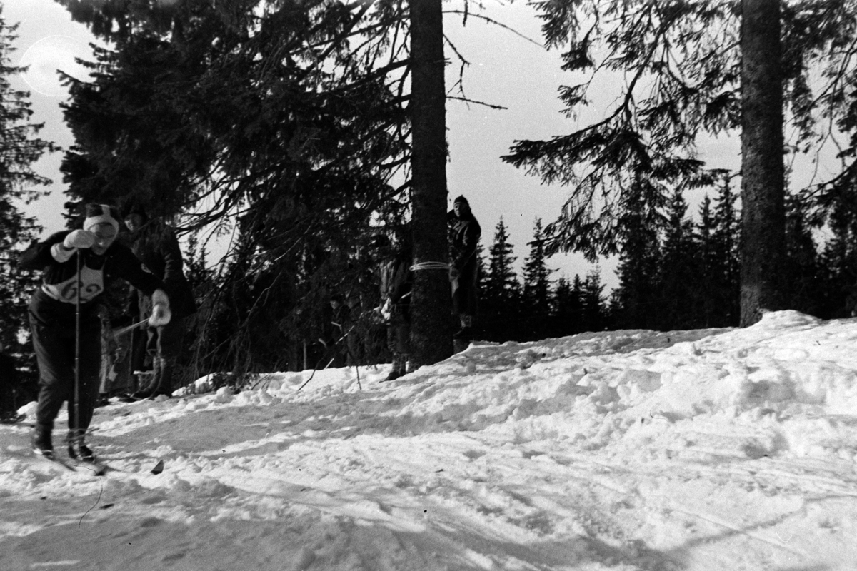 Adolf Skjegstad, LANGRENNSLØPER I SPORET, UKJENT, SKISPORT.
