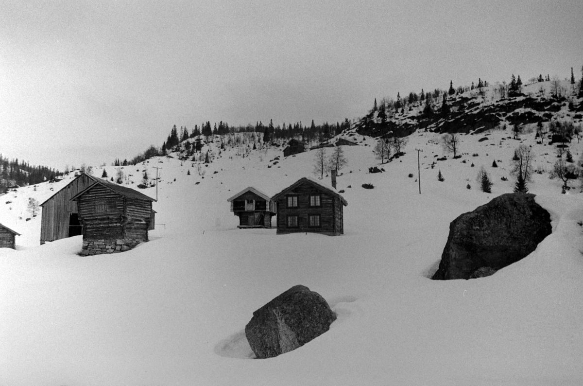 Adolf Skjegstad, ASK-02168
