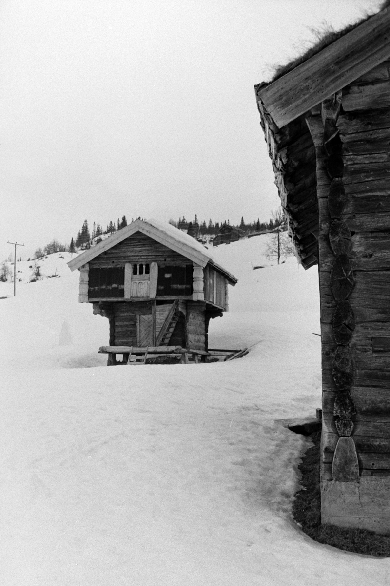 Adolf Skjegstad, ASK-02169
