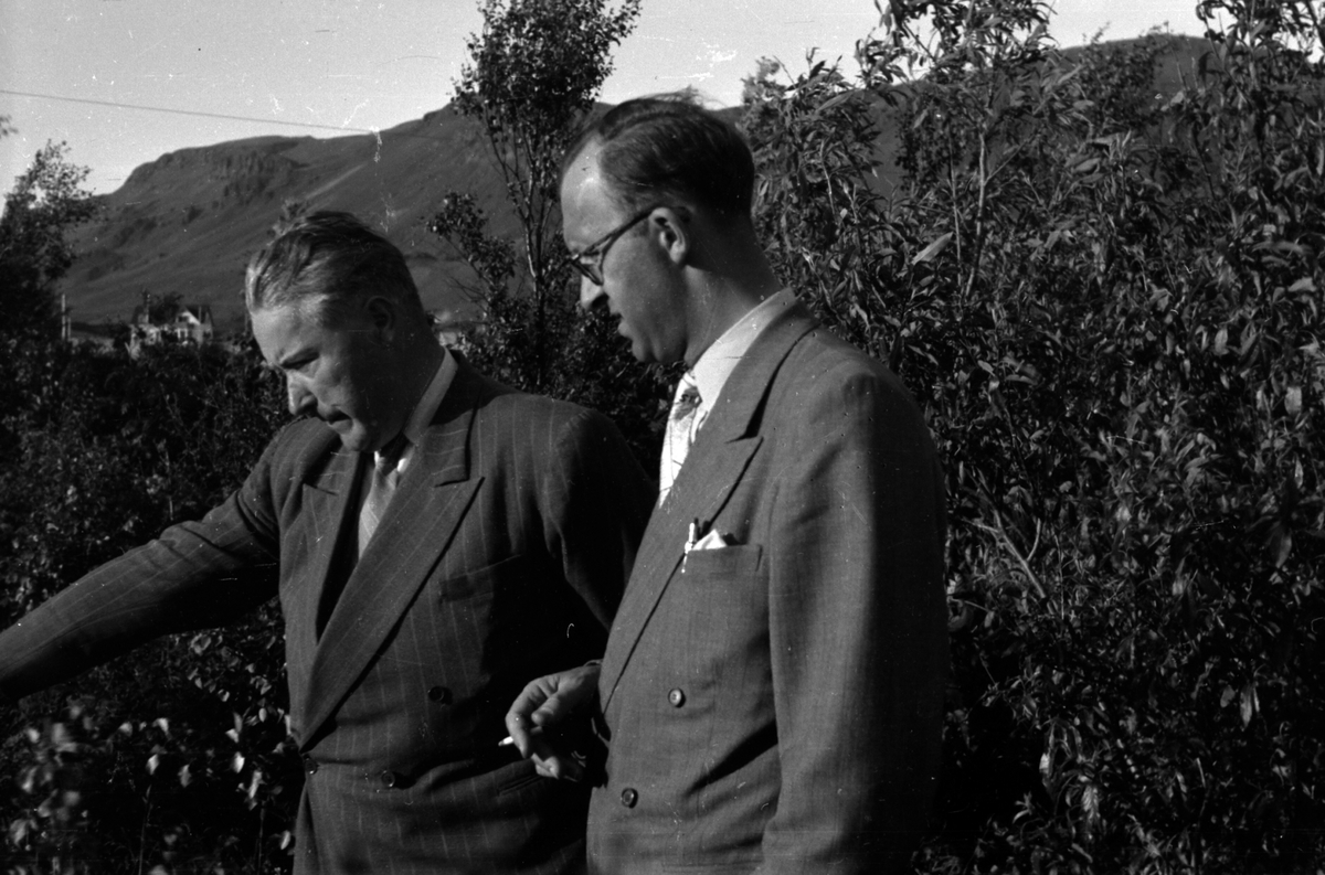 Adolf Skjegstad, ASK-02194