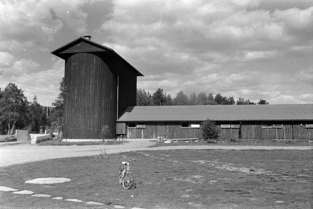 Adolf Skjegstad, ASK-02196