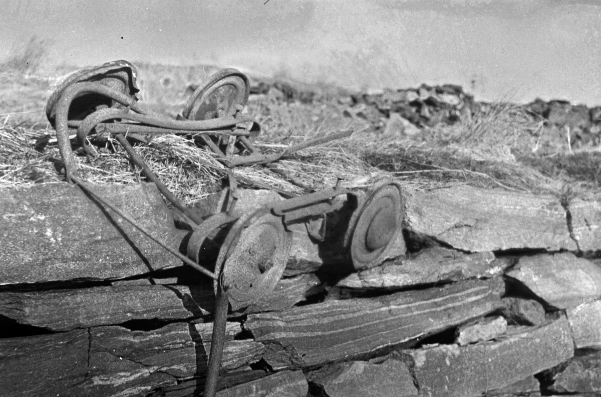 Adolf Skjegstad, ASK-02229
