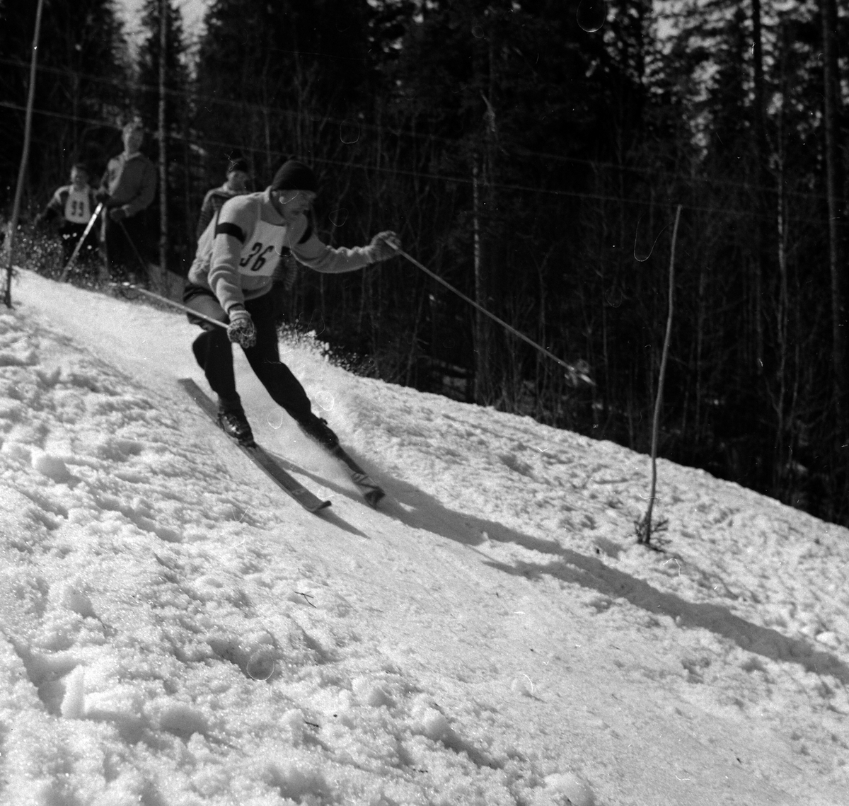Adolf Skjegstad, SLALOMLØPER, UKJENT, SKISPORT.
