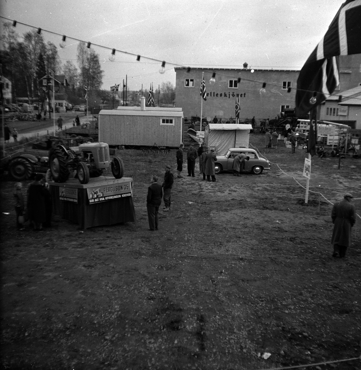 Adolf Skjegstad, ASK-02427