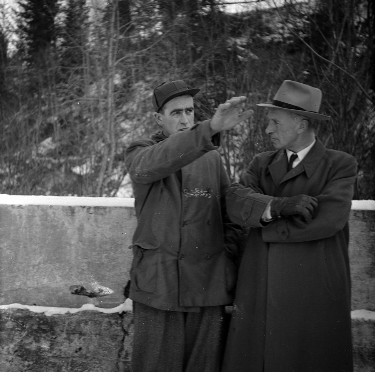 Adolf Skjegstad, ASK-02474
