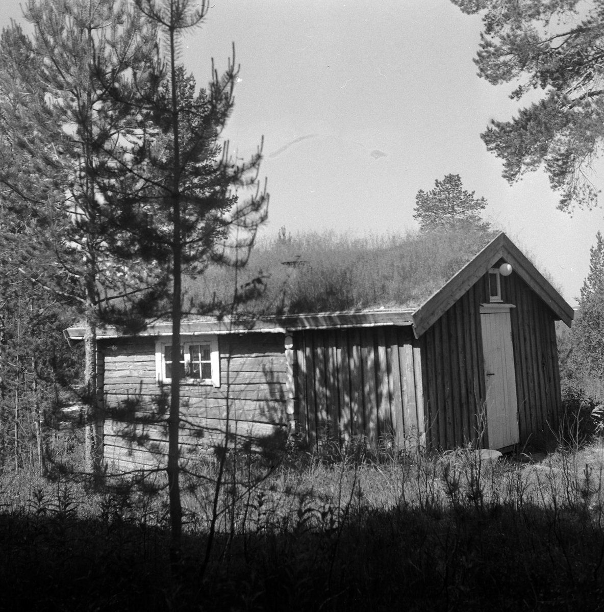 Adolf Skjegstad, ASK-02511
