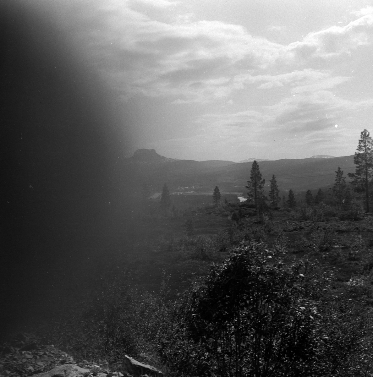 Adolf Skjegstad, ASK-02513