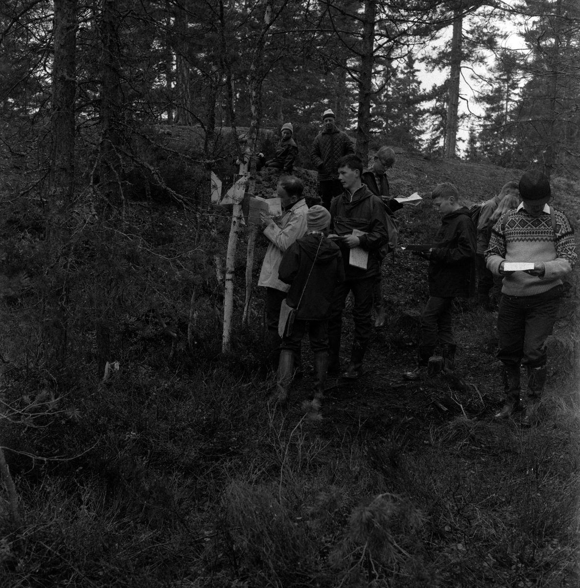 Adolf Skjegstad, ORIENTERINGSLØP