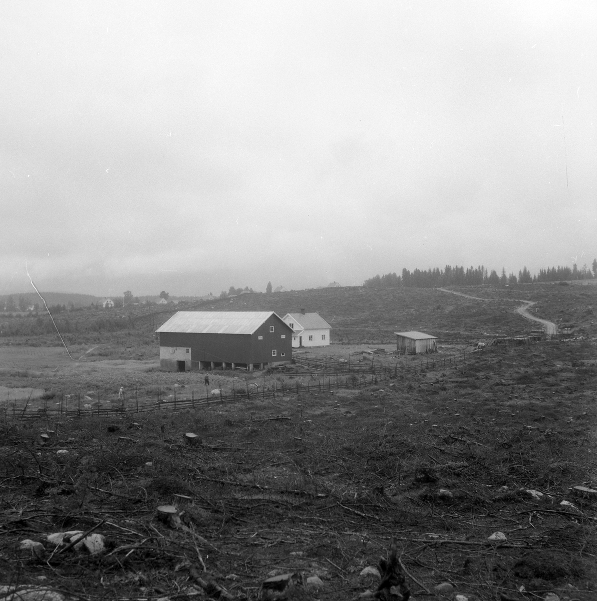 Adolf Skjegstad, ASK-02827