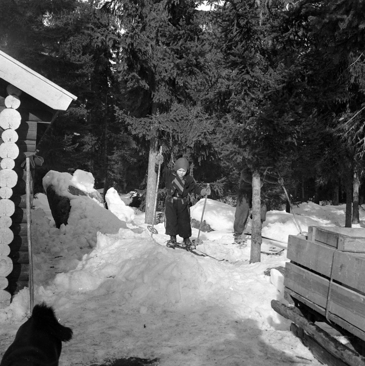 Adolf Skjegstad, ASK-02867