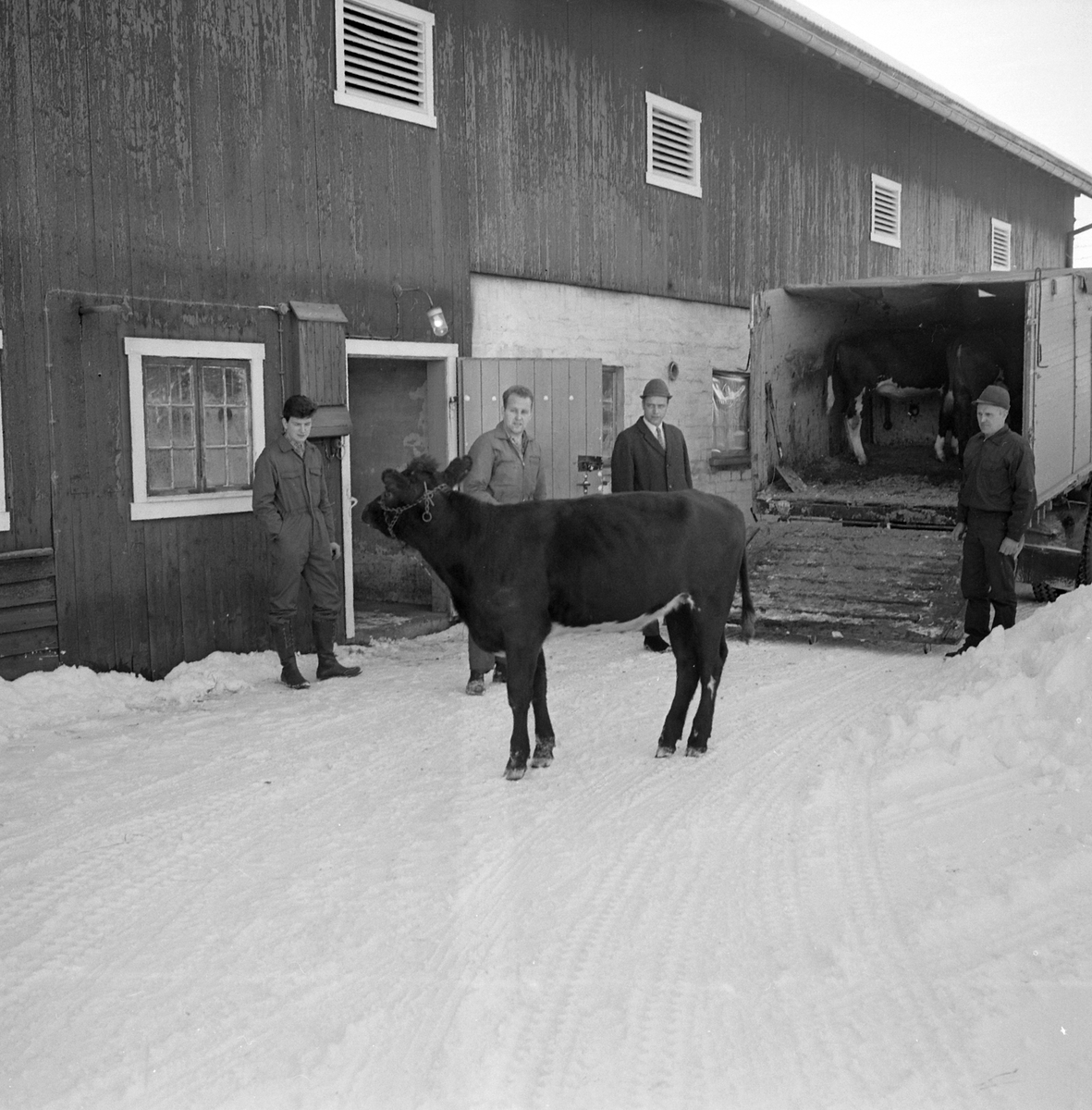Adolf Skjegstad, ASK-02870