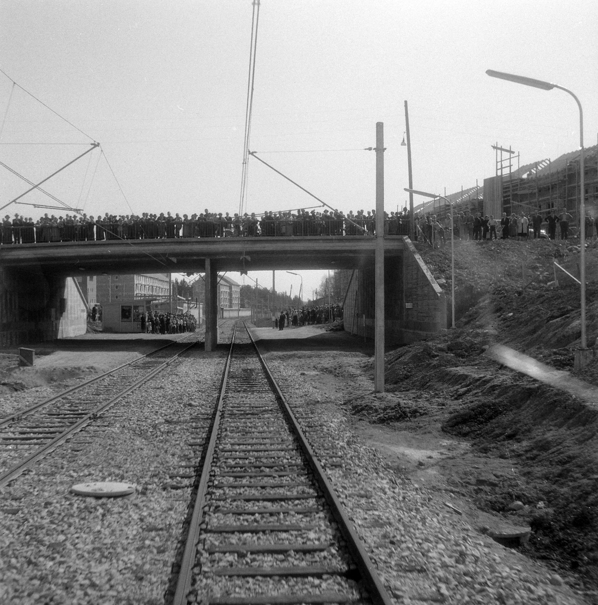 Adolf Skjegstad, ASK-02929