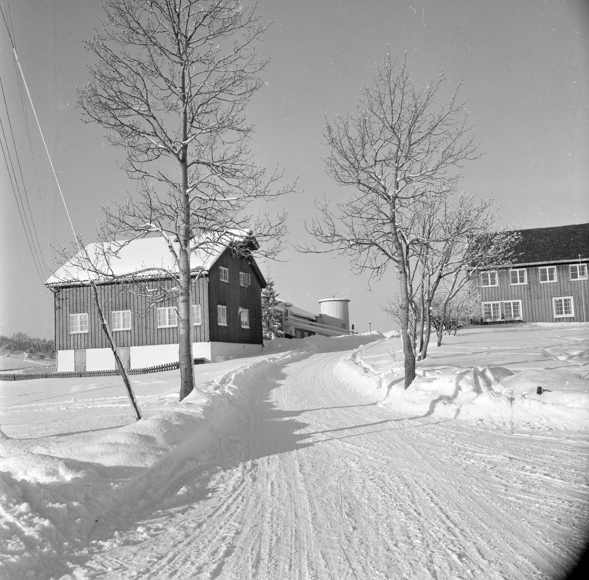 Adolf Skjegstad, ASK-02964