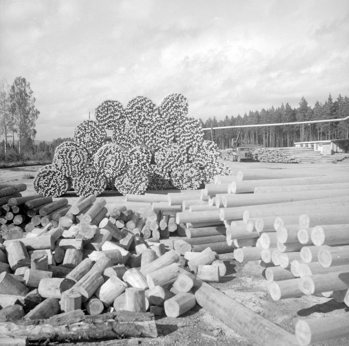 Adolf Skjegstad, ASK-03005