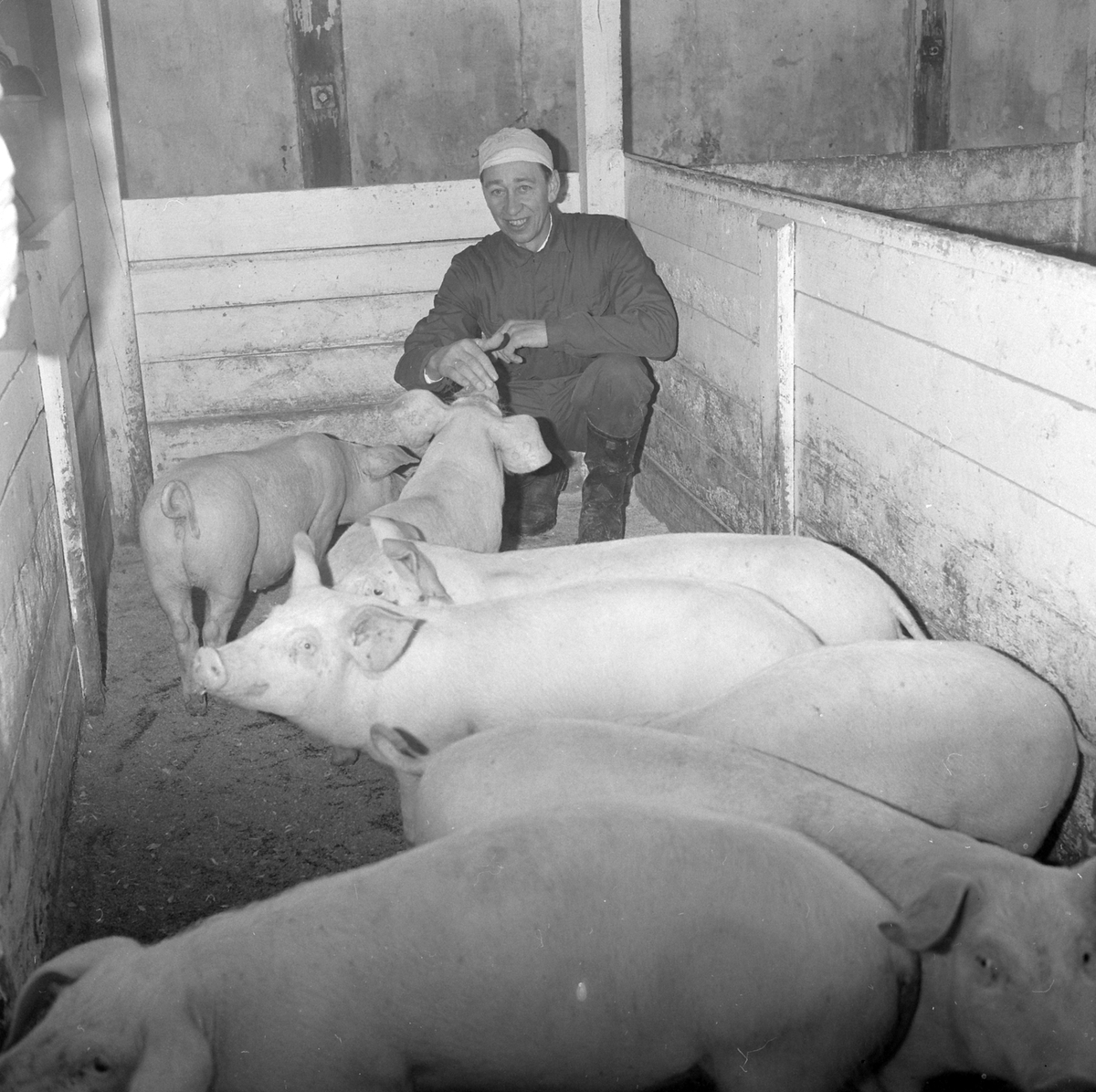 Adolf Skjegstad, ASK-03045