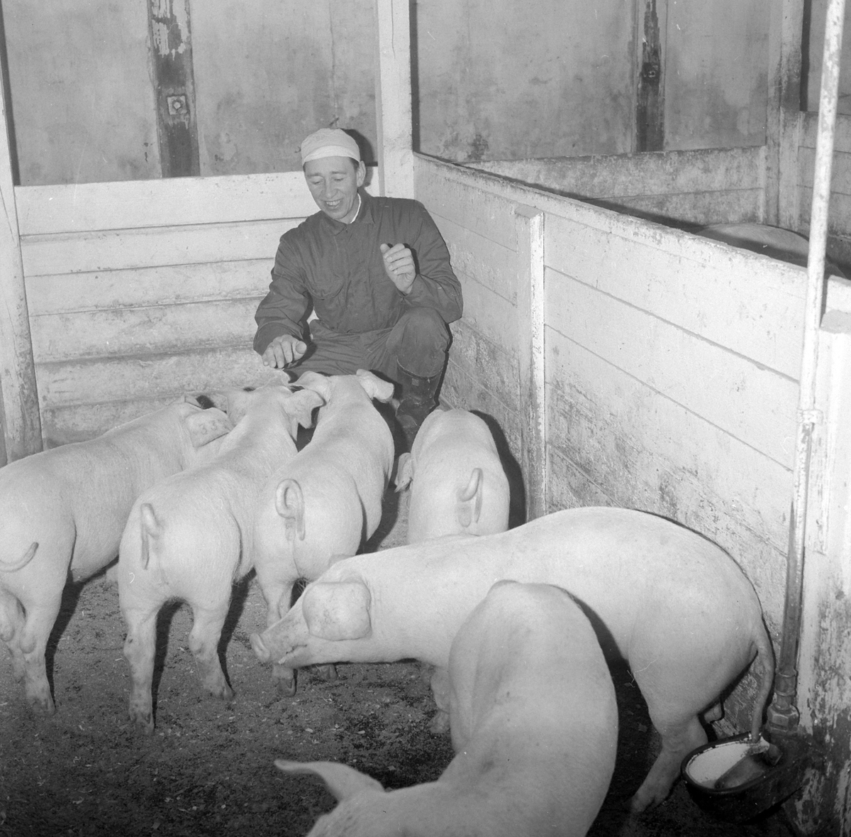 Adolf Skjegstad, ASK-03046