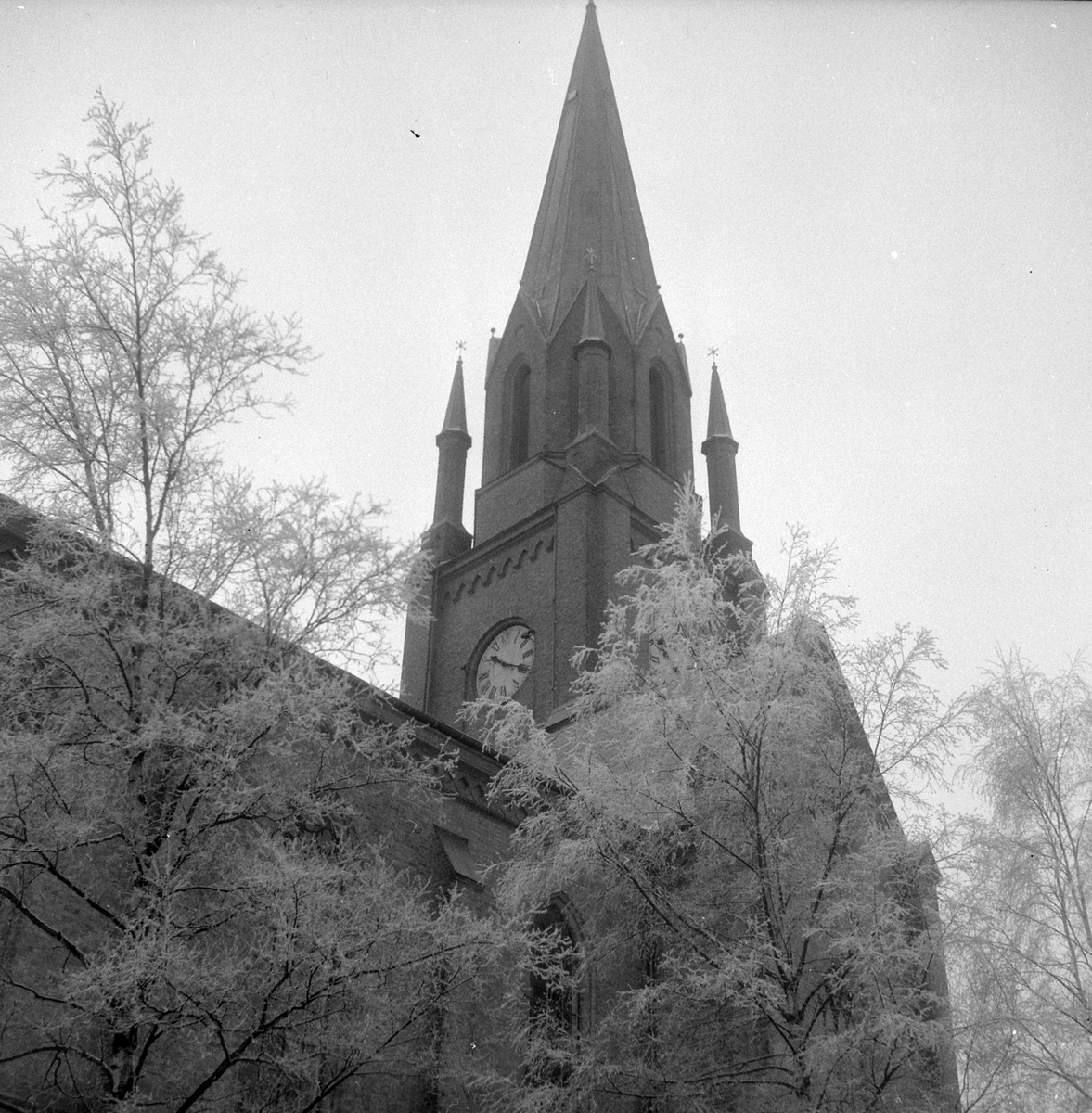 Adolf Skjegstad, ASK-03066