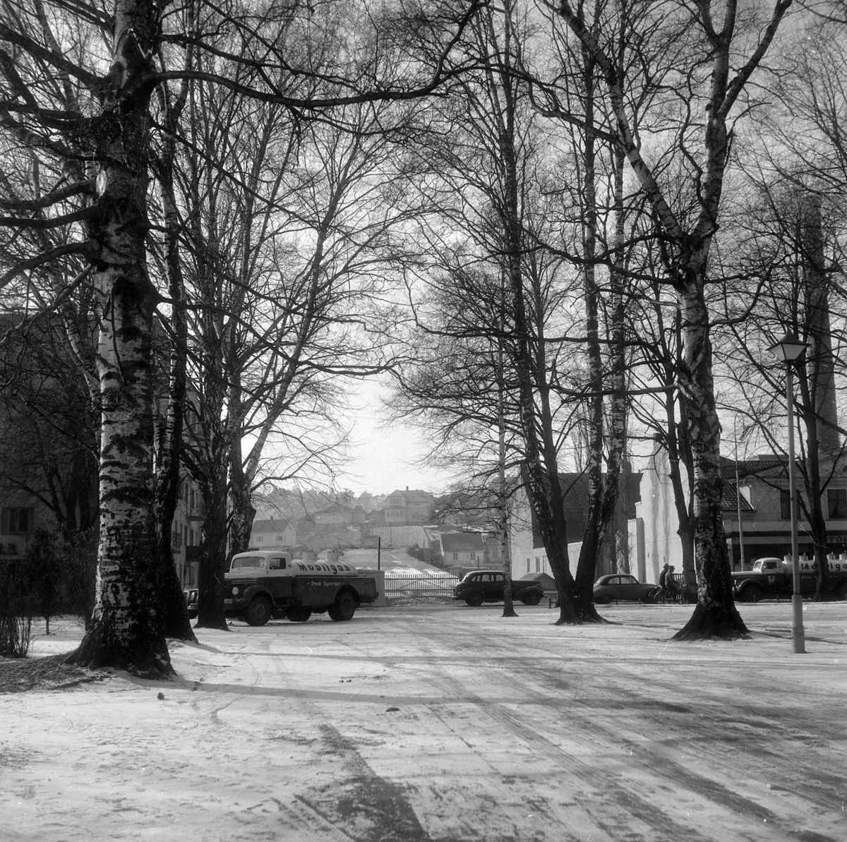 Adolf Skjegstad, ASK-03086