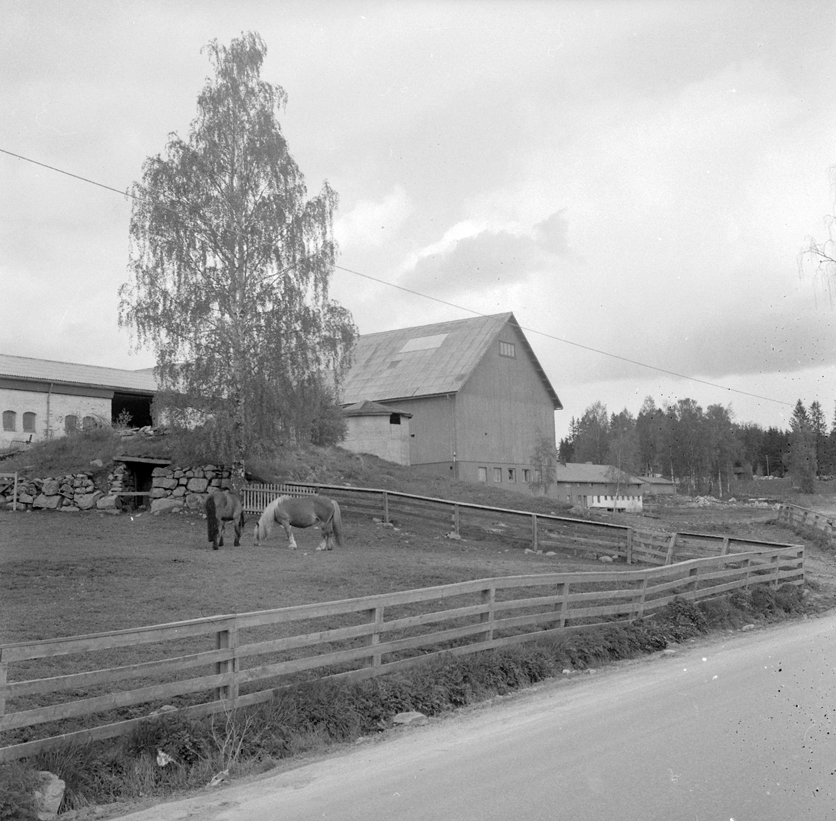 Adolf Skjegstad, ASK-03125