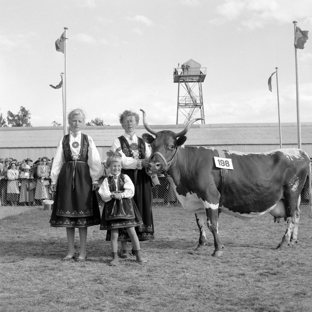 Adolf Skjegstad, ASK-03147