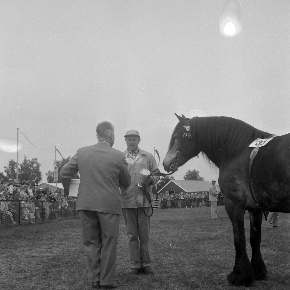 Adolf Skjegstad, Hesteutstilling, ukjent sted.
