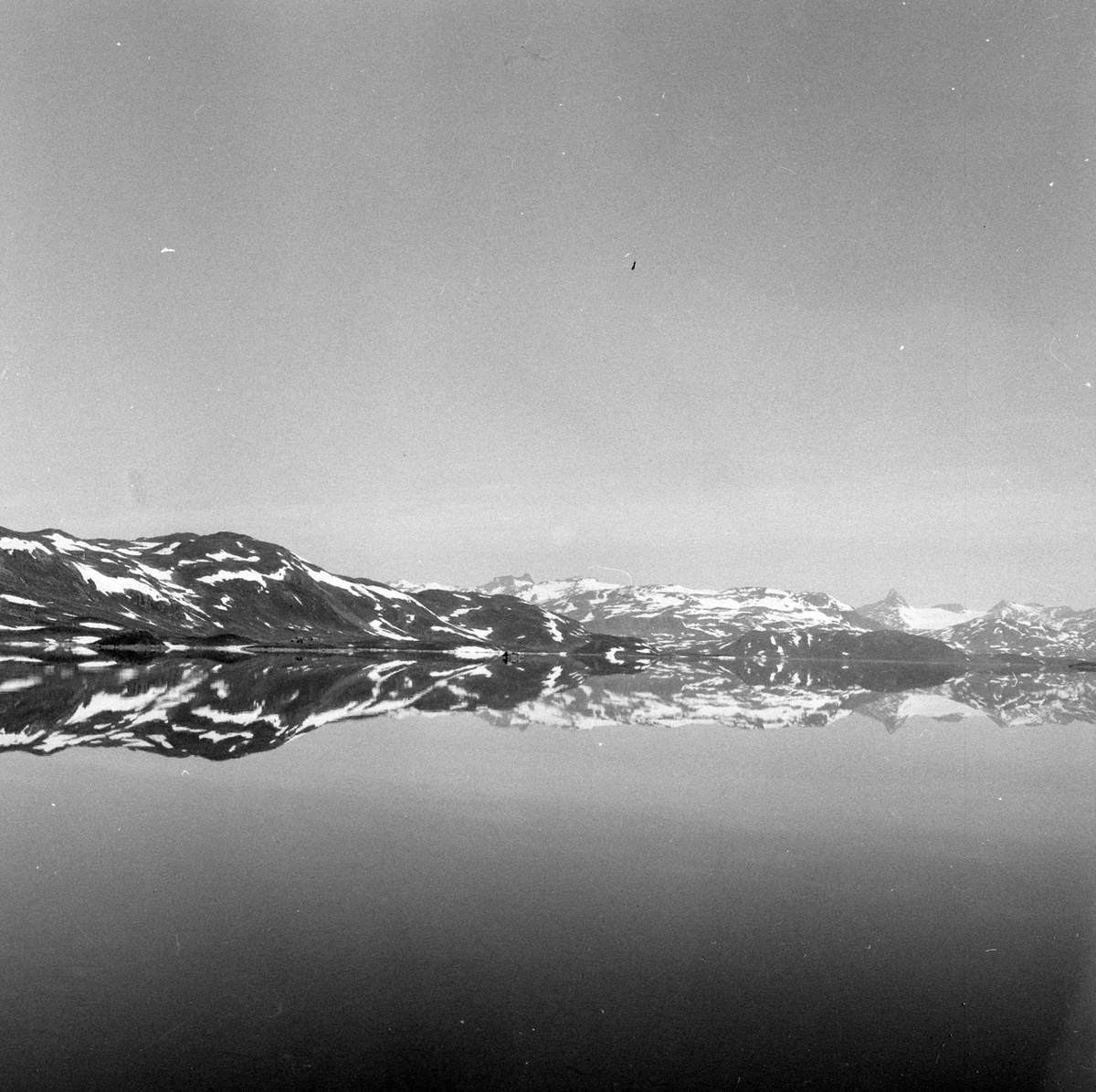 Adolf Skjegstad, ASK-03333