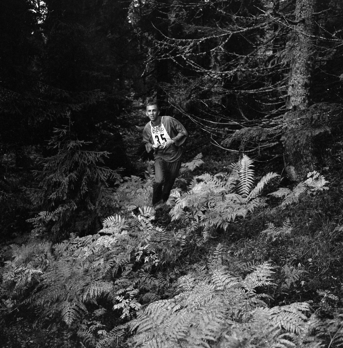 Adolf Skjegstad, ASK-03417