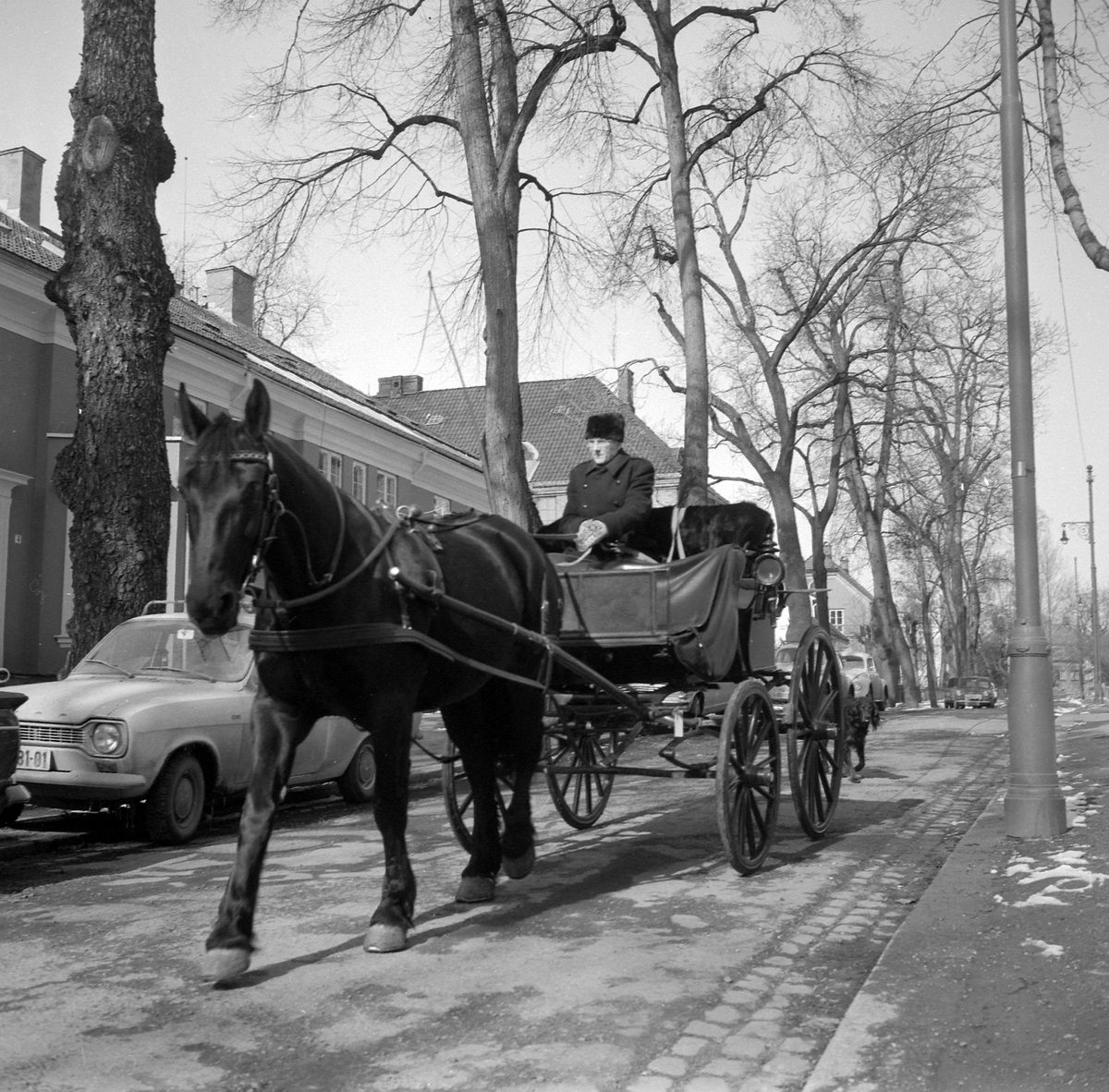 Adolf Skjegstad, ASK-03502