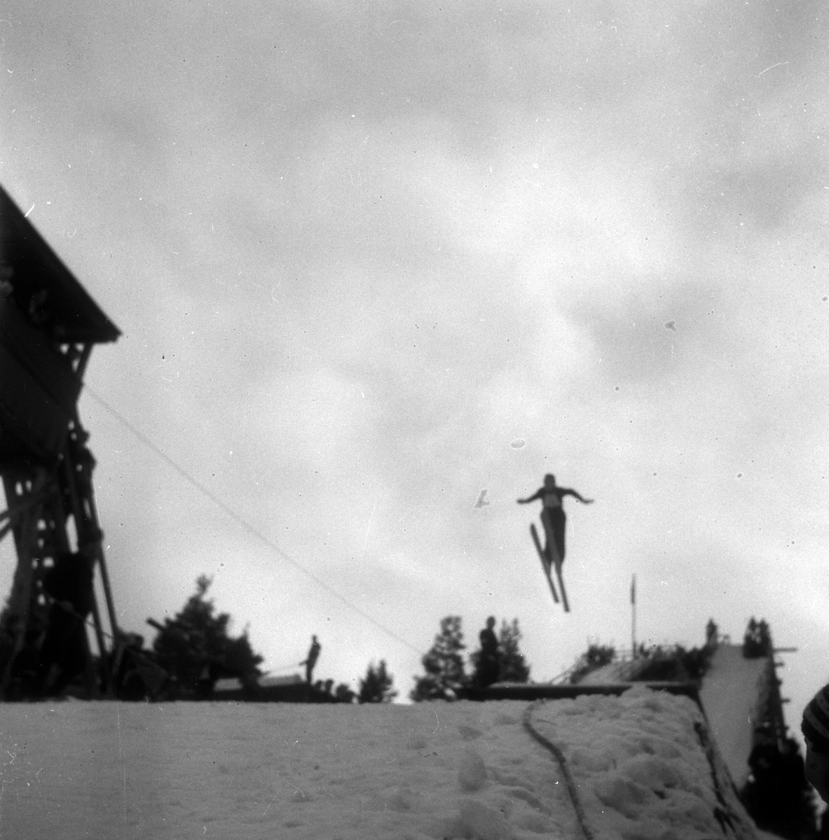 Adolf Skjegstad, ASK-03613