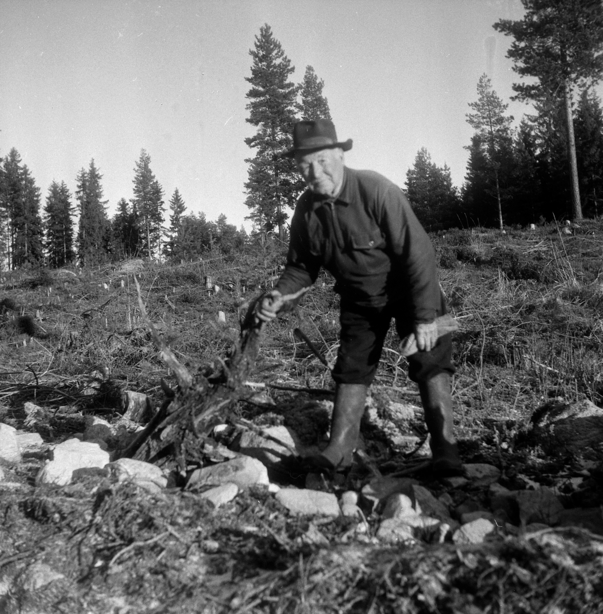 Adolf Skjegstad, ASK-03634