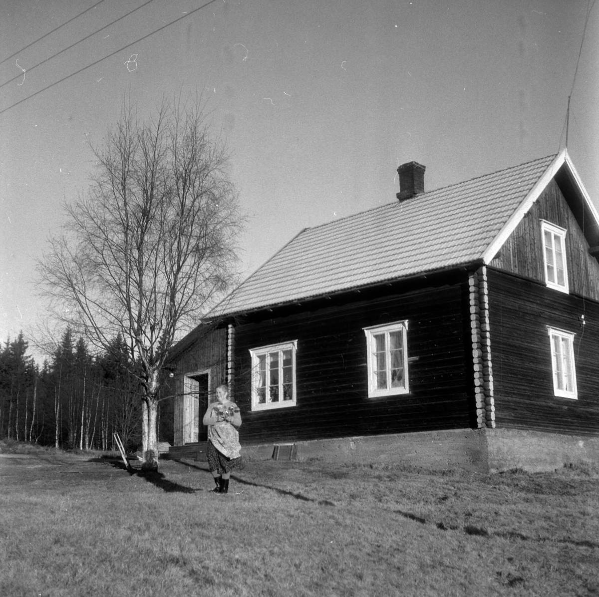 Adolf Skjegstad, ASK-03646