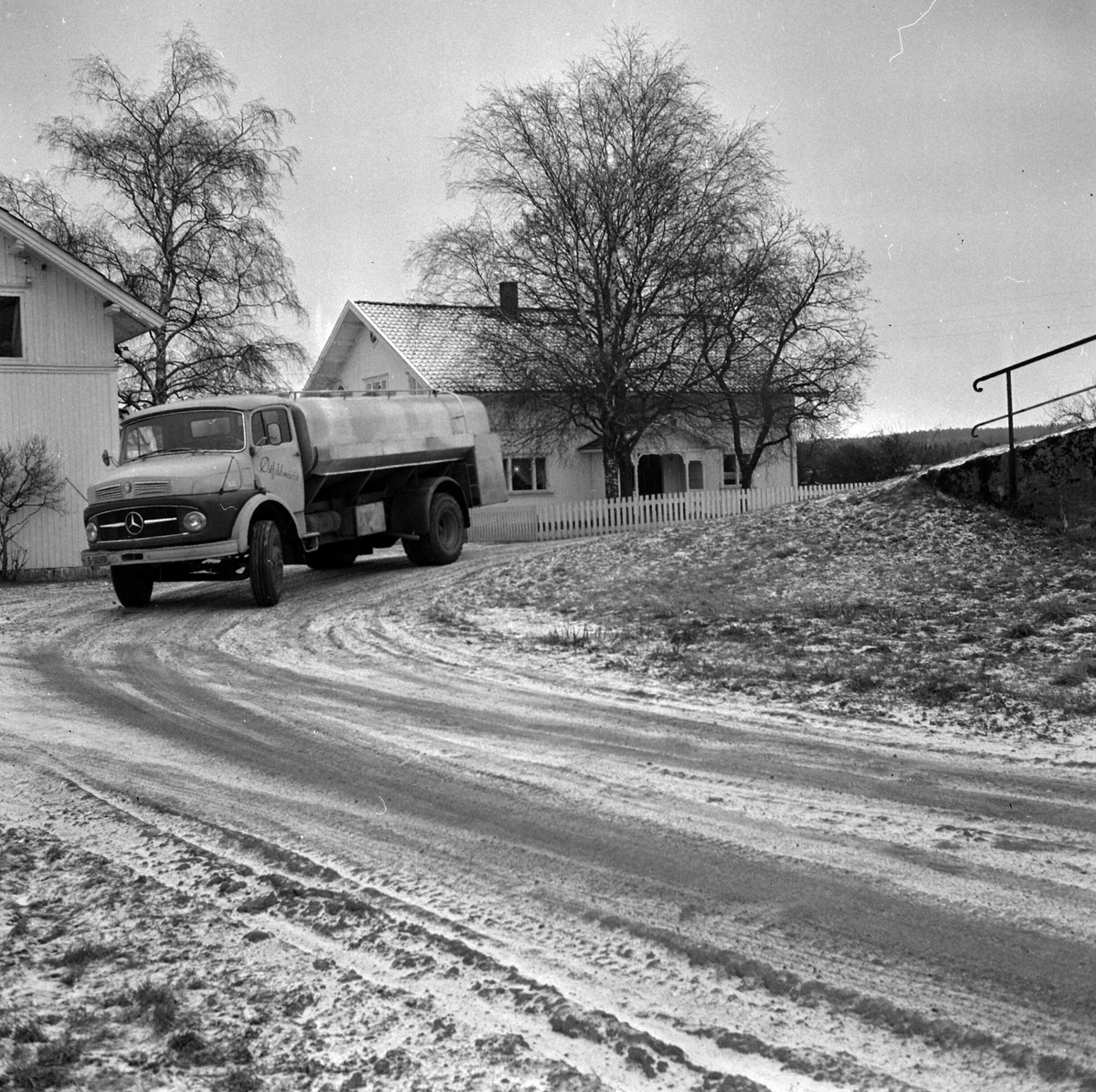 Adolf Skjegstad, ASK-03659