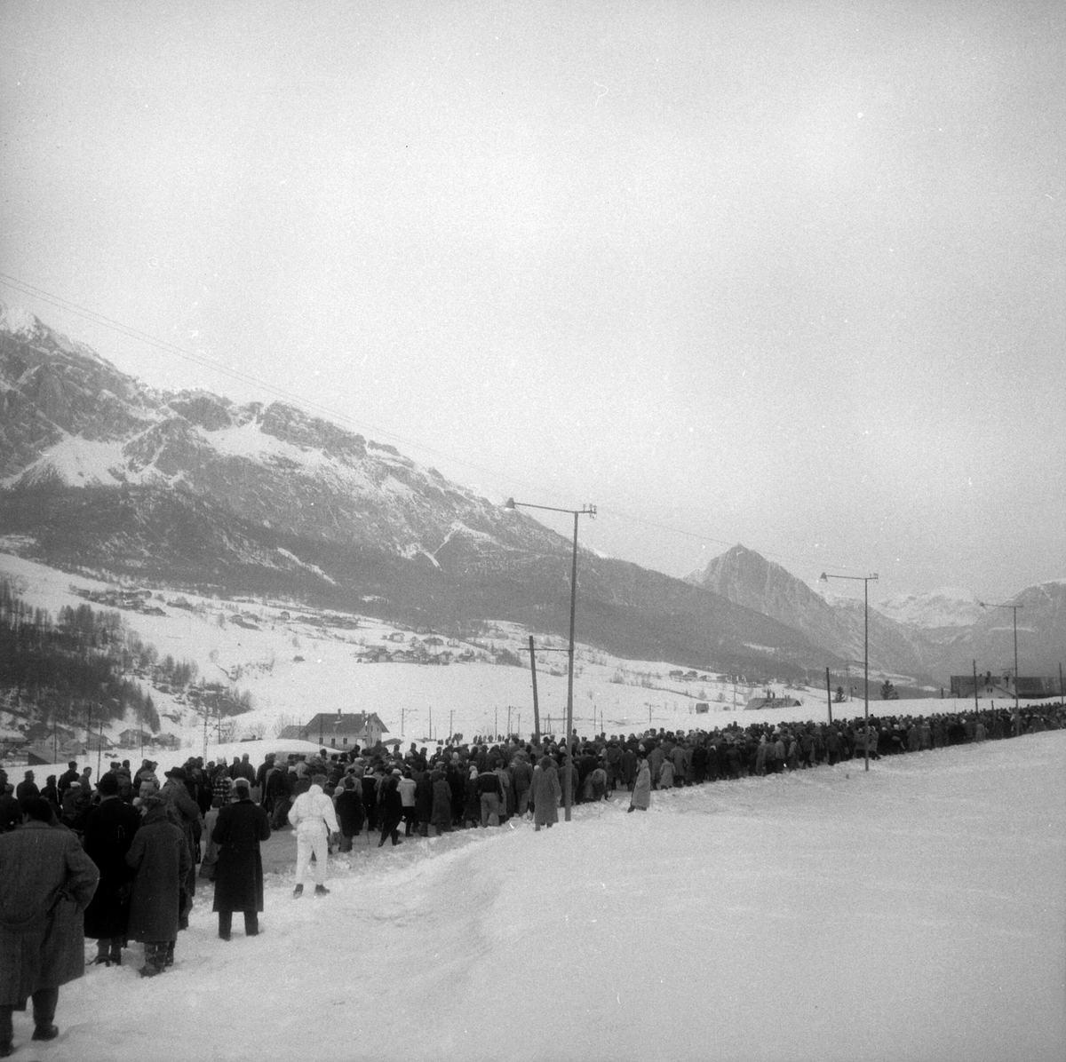 Adolf Skjegstad, ASK-03787