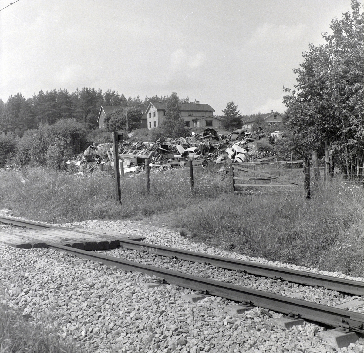 Adolf Skjegstad, ASK-03826