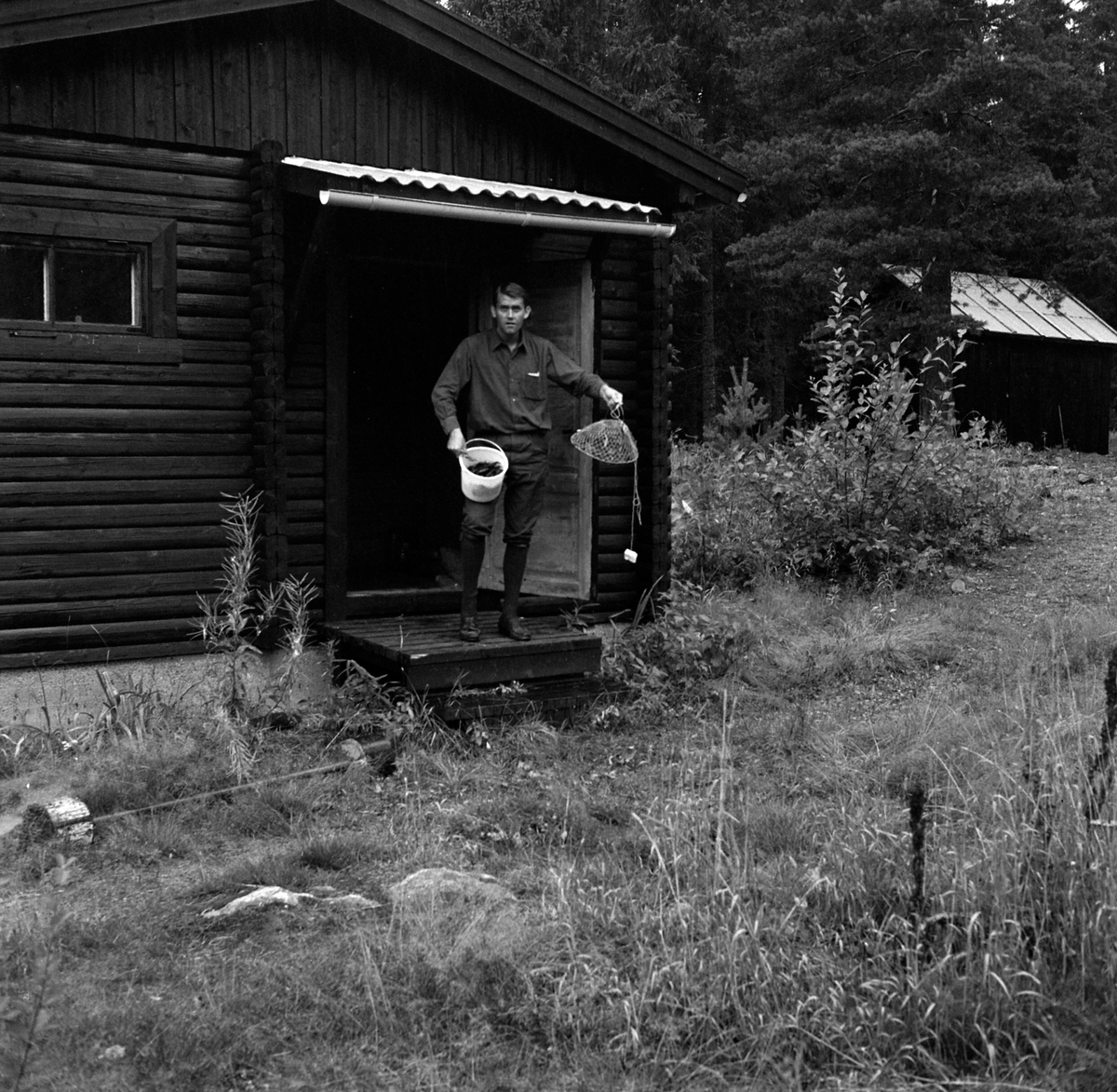 Adolf Skjegstad, ASK-03874