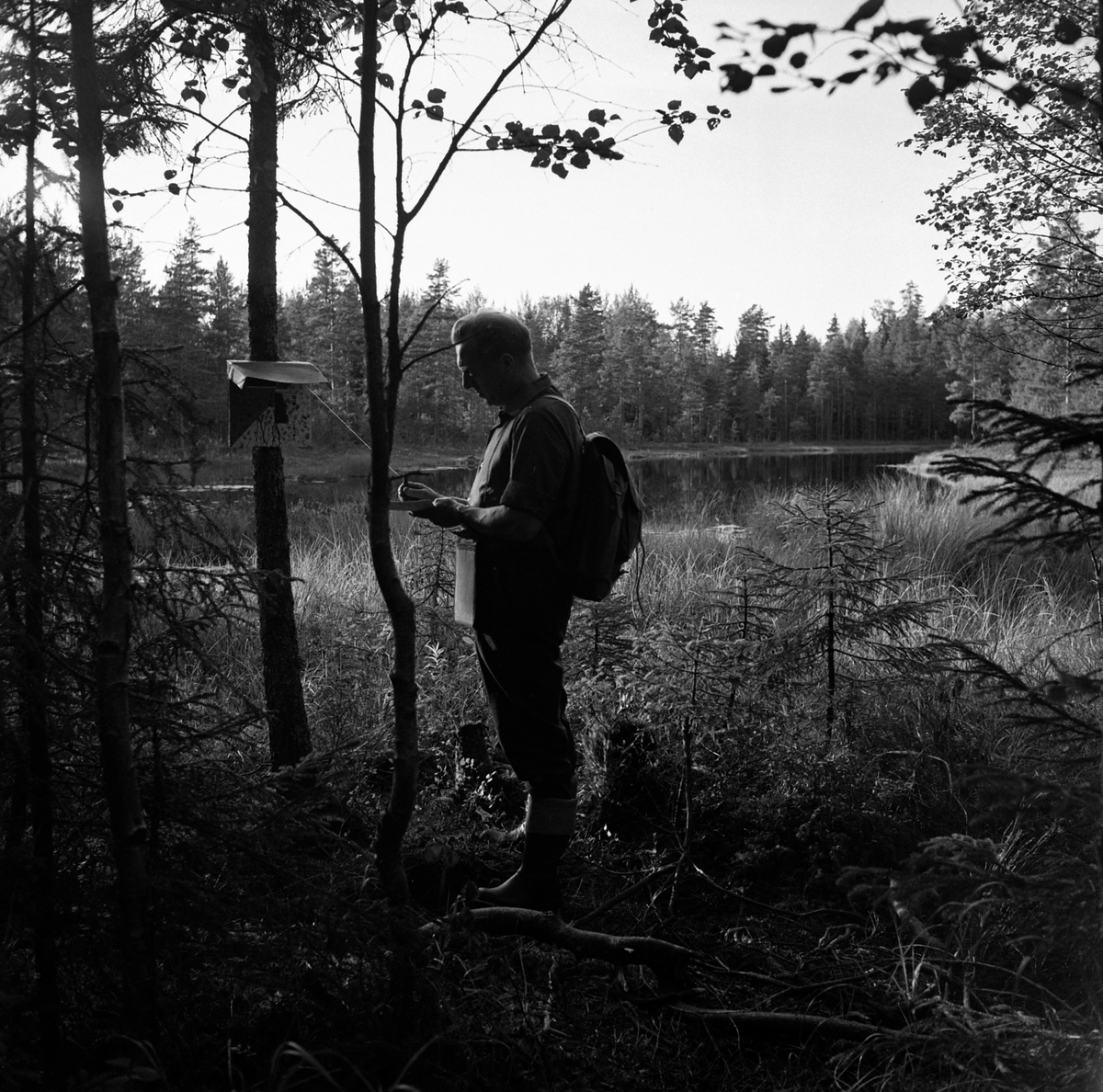 Adolf Skjegstad, ASK-03880