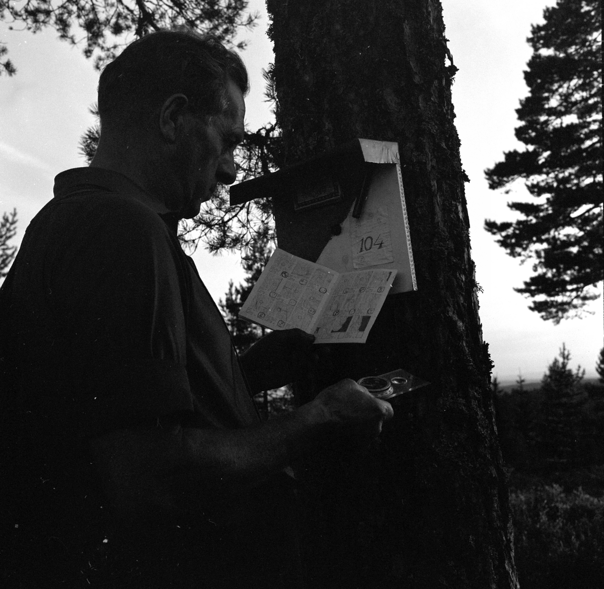 Adolf Skjegstad, ASK-03882
