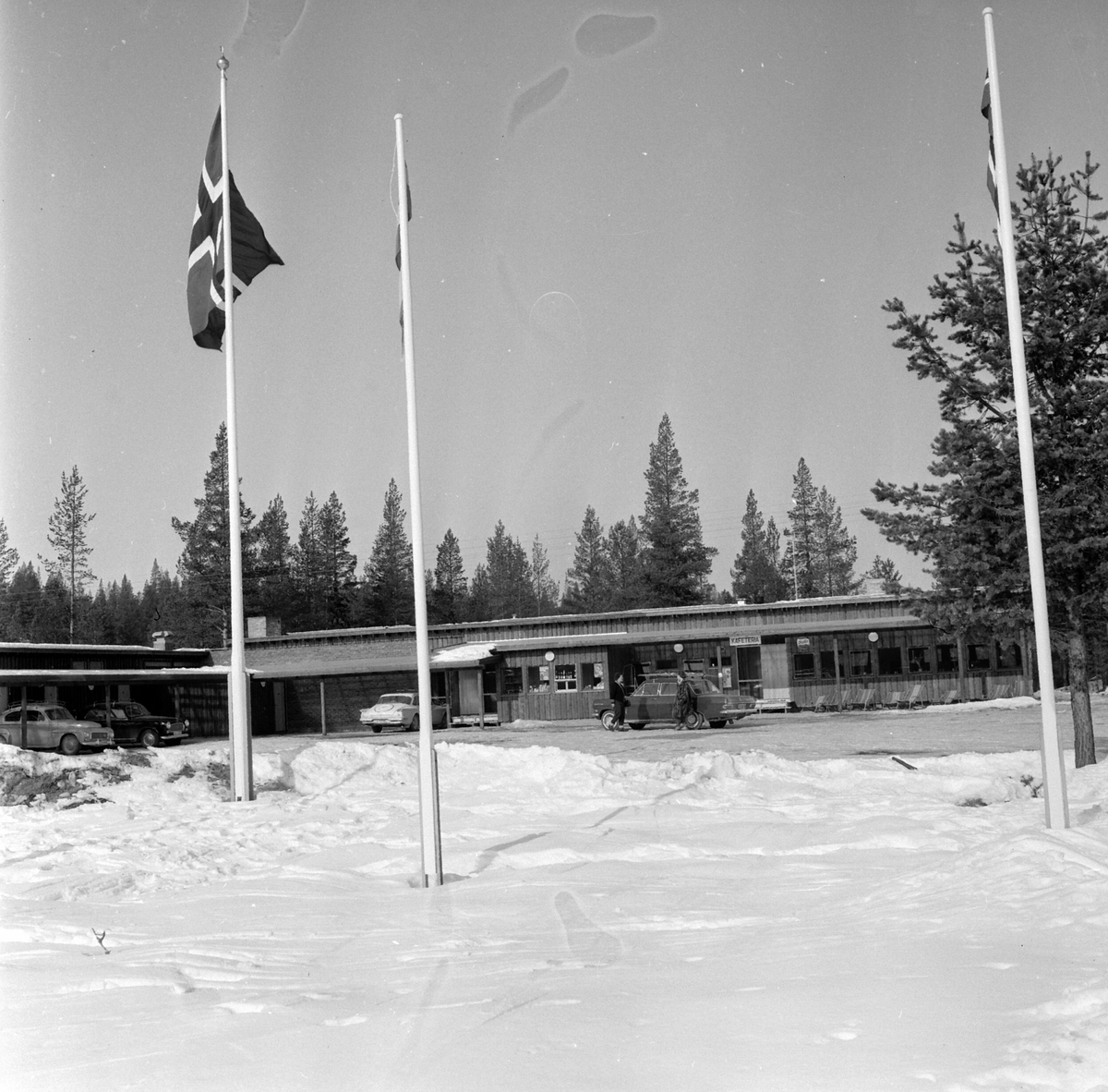 Adolf Skjegstad, ASK-03887