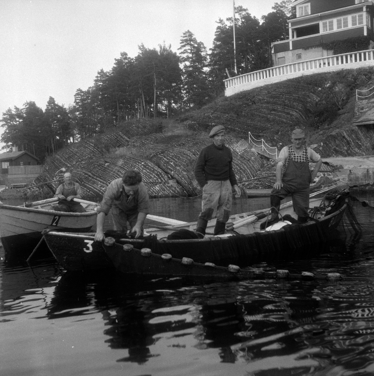 Adolf Skjegstad, ASK-03975