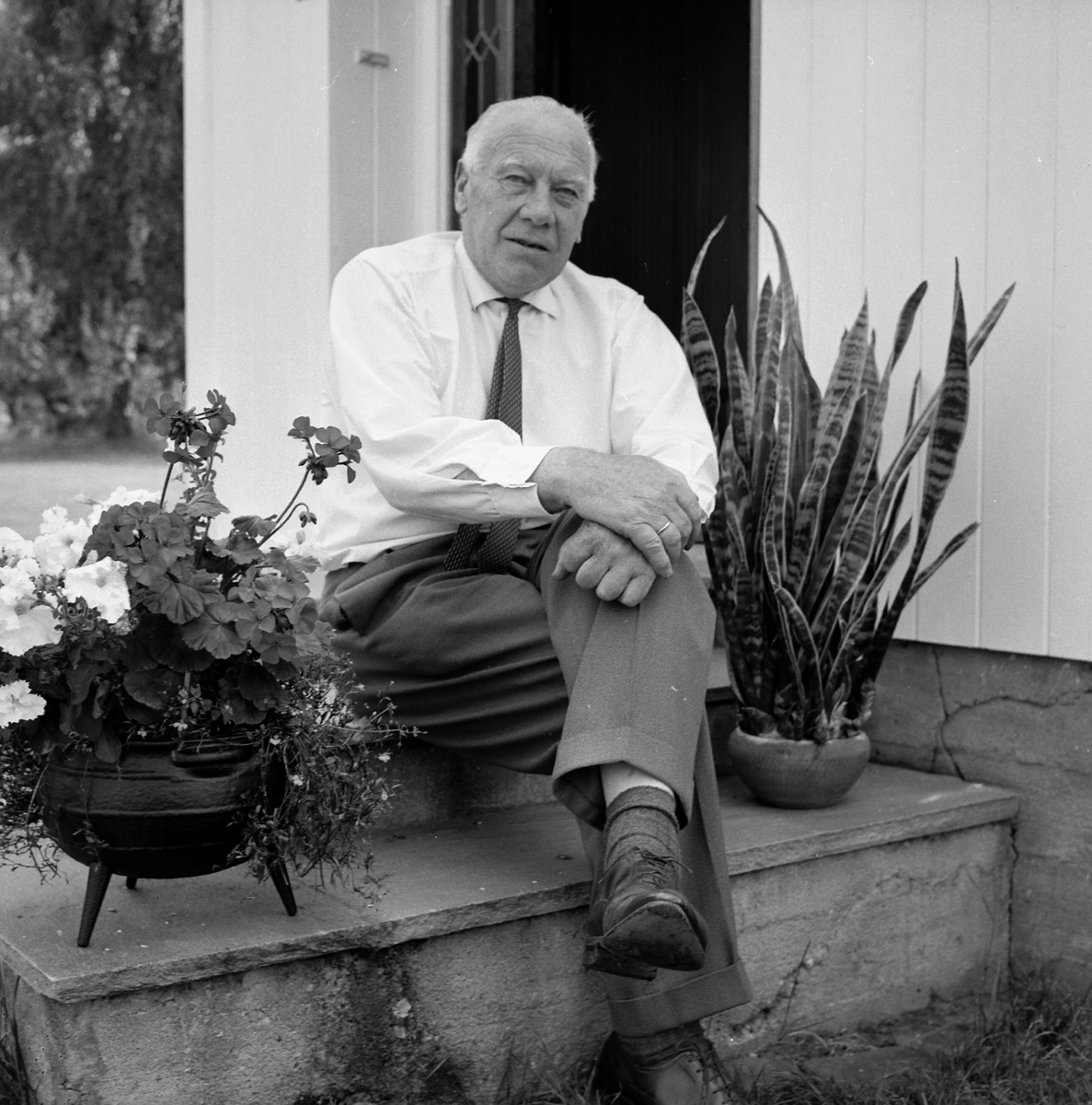 Adolf Skjegstad, ASK-03987